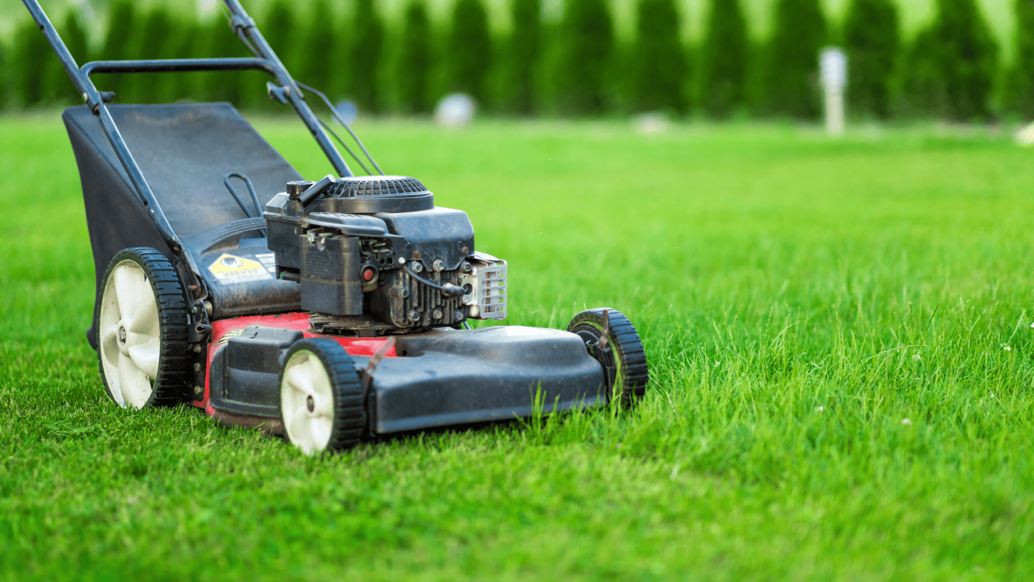 Lawn Mowing & Maintenance